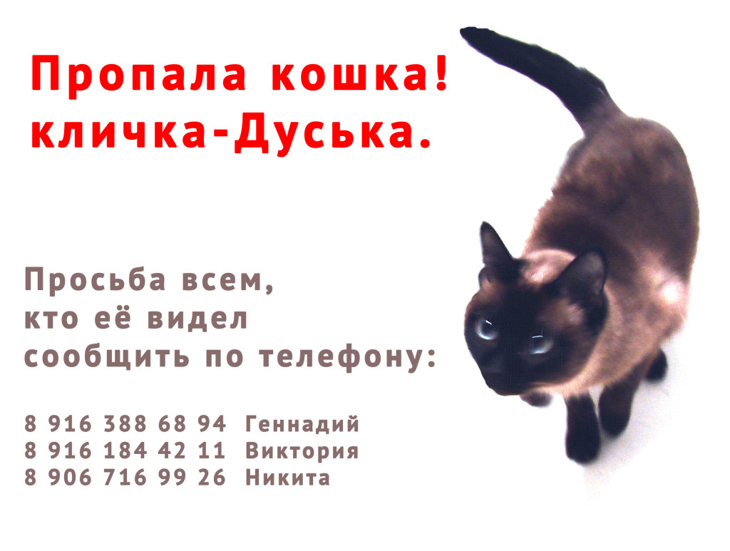 Дуська_